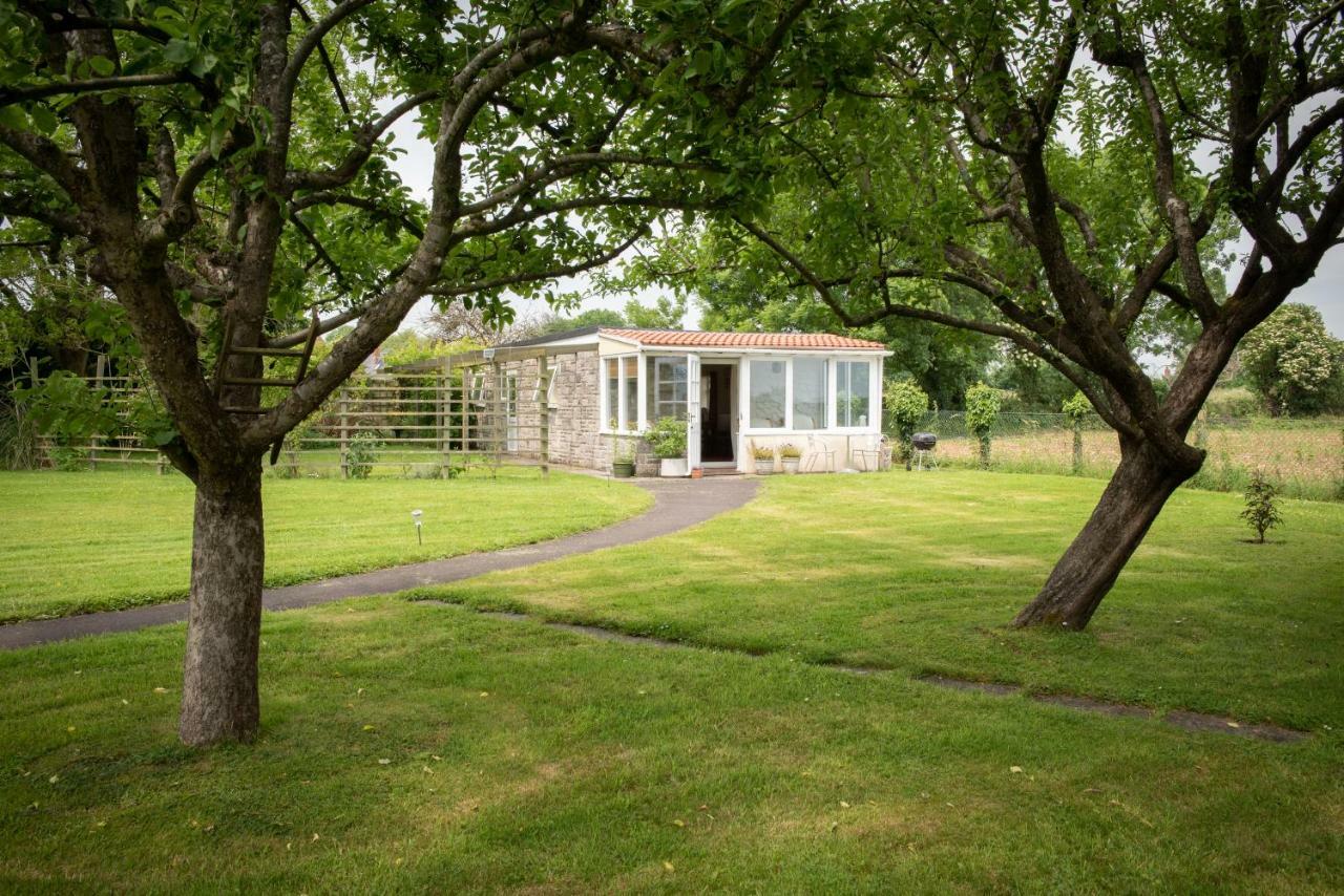 The Studio Somerton  Bagian luar foto